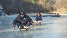 동구어린이집 졸업여행 - 민들레의 숲 활동 - 들살이 생태 놀이터 동구어린이집 졸업여행