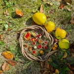 25년 10월 28일 다인어린이집대방 - 숲 유치원 - 들살이 생태 놀이터 25년 10월 28일 다인어린이집대방