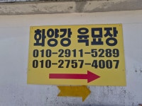 2026.04.26(일)06시.봄농작물.홍천찰옥수수.직파.모종심기 - 우리들의 이야기 - 청산우모 2026.04.26(일)06시.봄농작물.홍천찰옥수수.직파.... 