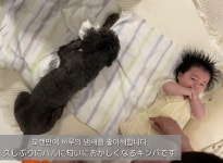 심형탁 아들을 엄청 보고 싶어하는 심형탁네 개 - 악플달면 쩌리쩌려버려 - ＊여성시대＊ 차분한 20대들의 알흠다운 공간 심형탁 아들을 엄청... 