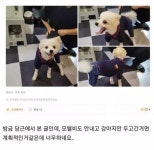 모텔 왔던 손님이 숙박비 대신 두고 간 것 - 악플달면 쩌리쩌려버려... 차분한 20대들의 알흠다운 공간 모텔 왔던 손님이 숙박비 대신 두고 간 것