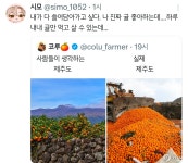 사람들이 생각하는 제주도 vs 실제 제주도.twt - 악플달면 쩌리쩌려버려 - ＊여성시대＊ 차분한 20대들의 알흠다운 공간 사람들이 생각하는... 