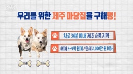 ＜구해줘 홈즈＞ 제주시 한림읍 금능리 보증금 1500에 연세가... 홈즈＞ 제주시 한림읍 금능리 보증금 1500에 연세가 1800만원인 단독주택