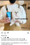 강아지가 클랜징폼만큼 작다는 시아준수형과 펫샵 입양값까지 적어놓고 파양하는 시아준수... 작다는 시아준수형과 펫샵 입양값까지 적어놓고... 