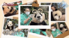 오늘 TV동물농장에 나온 푸바오에게 보내는 송바오님 편지 - 악플달면... 알흠다운 공간 오늘 TV동물농장에 나온 푸바오에게 보내는 송바오님 편지