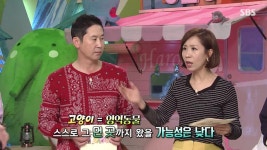 동물농장 오늘자 창녕 품종묘 10마리 유기사건 전말 - 악플달면... 20대들의 알흠다운 공간 동물농장 오늘자 창녕 품종묘 10마리 유기사건 전말