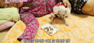 서로를 위해 헤어지는 할머니와 은비 - 악플달면 쩌리쩌려버려 - ＊여성시대＊ 차분한 20대들의 알흠다운 공간 서로를 위해 헤어지는 할머니와 은비