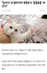 집사야 내 발바닥이 벚꽃보다 더 분홍분홍 하단다 - 악플달면 쩌리쩌려버려 - ＊여성시대＊ 차분한 20대들의 알흠다운 공간 