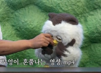 딩동댕대학교 - └ 짤방백과(콧멍으로편입) - ＊여성시대＊ 차분한 20대들의 알흠다운 공간 딩동댕대학교