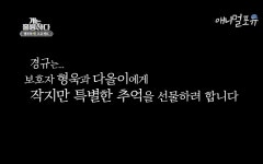 최고의 개 훈련사도 이별은 훈련되지 않았기에 - 악플달면 쩌리쩌려버려 - ＊여성시대＊ 차분한 20대들의 알흠다운 공간 최고의 개 훈련사도 이별... 
