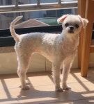 미용한 꽃분이 - 악플달면 쩌리쩌려버려 - ＊여성시대＊ 차분한 20대들의 알흠다운 공간 미용한 꽃분이