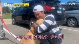 식용견 농장에서 구출된 다니엘 헤니의 강아지 로스코, 줄리엣 - 악플달면 쩌리쩌려버려 - ＊여성시대＊ 차분한 20대들의 알흠다운 공간 식용견... 