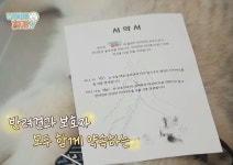 설채현X가비의 다이어트하개에 출연한 뚱댕이들 - 악플달면... 차분한 20대들의 알흠다운 공간 설채현X가비의 다이어트하개에 출연한 뚱댕이들