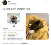 보호소분들 이 사진 어떻게 찍으신거지.. - 악플달면 쩌리쩌려버려 - ＊여성시대＊ 차분한 20대들의 알흠다운 공간 보호소분들 이 사진 어떻게... 