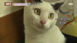 뻔순이 니 나한테 왜 그러니..jpgif - 악플달면 쩌리쩌려버려 - ＊여성시대＊ 차분한 20대들의 알흠다운 공간 뻔순이 니 나한테 왜 그러니..... 