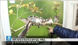 새 괴롭혀서 사진찍는 사진작가 - 악플달면 쩌리쩌려버려 - ＊여성시대＊ 차분한 20대들의 알흠다운 공간 새 괴롭혀서 사진찍는 사진작가
