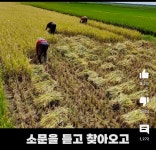 아프리카 : 쌀 좀 🌾 한국 : 다 모여 - 악플달면 쩌리쩌려버려 - ＊여성시대＊ 차분한 20대들의 알흠다운 공간 아프리카 : 쌀 좀 🌾 한국 : 다 모여