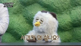 딩동댕대학교 - └ 짤방백과(콧멍으로편입) - ＊여성시대＊ 차분한 20대들의 알흠다운 공간 딩동댕대학교