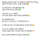 귀엽게 만들어진듯한 대구광역시 동구 sns캐릭터🪨 - 인스티즈(instiz) 이슈 카테고리 귀엽게 만들어진듯한 대구광역시 동구 sns캐릭터🪨