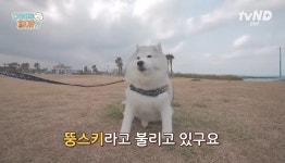 설채현X가비의 다이어트하개에 출연한 뚱댕이들 - 악플달면... 차분한 20대들의 알흠다운 공간 설채현X가비의 다이어트하개에 출연한 뚱댕이들