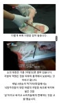 요즘 유행하는 대창 asmr 보고 대창 먹는 여시들 없길 바라면서 쓰는 글........... - 악플달면 쩌리쩌려버려 - ＊여성시대＊ 차분한 20대들의... 