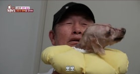 [동물농장] 얼굴 전체가 혹으로 덮인 강아지 미미 - 악플달면... 차분한 20대들의 알흠다운 공간 [동물농장] 얼굴 전체가 혹으로 덮인 강아지 미미