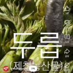 조금 당황스러운 농림축산식품부의 두릅 홍보 영상.shorts - 악플달면 쩌리쩌려버려 - ＊여성시대＊ 차분한 20대들의 알흠다운 공간 조금... 