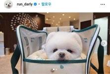 달리 심장병 치료를 위해 회사도 그만두고 퇴직금... 떠난 달리언니 - 악플달면 쩌리쩌려버려 - ＊여성시대＊ 차분한 20대들의 알흠다운 공간 달리... 