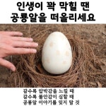 인생이 꽉 막힐 땐 공룡알을 떠올리세요 - 악플달면 쩌리쩌려버려... 차분한 20대들의 알흠다운 공간 인생이 꽉 막힐 땐 공룡알을 떠올리세요