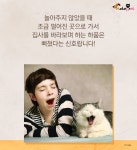 내가 쓰담쓰담해줄때마다 고양이가 하품을 해..그냥 졸려서 그런걸까? - 악플달면 쩌리쩌려버려 - ＊여성시대＊ 차분한 20대들의 알흠다운 공간... 