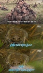 제주도 금오름에서는 돌탑을 무너뜨려야하는 이유 - 악플달면 쩌리쩌려버려 - ＊여성시대＊ 차분한 20대들의 알흠다운 공간 제주도 금오름에서는... 