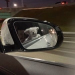 내 갤러리 속 이모저모.. 고모 ++ 공지기념 짤추가 - 콧멍에트💛잇게짤털 - ＊여성시대＊ 차분한 20대들의 알흠다운 공간 내 갤러리 속 이모저모..... 