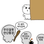 출근길에 (낋이려다가 집에서) 낋이는 짤털5 - 콧멍에트💛잇게짤털 - ＊여성시대＊ 차분한 20대들의 알흠다운 공간 출근길에 (낋이려다가... 