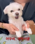 치킨바나나 추는 해달 - 악플달면 쩌리쩌려버려 - ＊여성시대＊ 차분한 20대들의 알흠다운 공간 치킨바나나 추는 해달