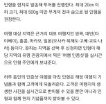 나 대신 인형이 여행 간다… 인터파크투어, 토이스토리 상품 선봬 - 악플달면 쩌리쩌려버려 - ＊여성시대＊ 차분한 20대들의 알흠다운 공간 나... 