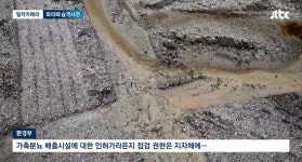 더쿠 - 약혐) 충북 제천 산골마을에 파리 대재앙...알고보니 분뇨 700톤 방치