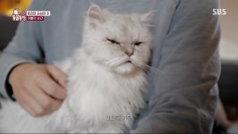 [동물농장] 효리와 순심이의 마지막 순간 (눈물+스압) - 악플달면... 20대들의 알흠다운 공간 [동물농장] 효리와 순심이의 마지막 순간 (눈물+스압)