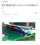 호주 농장) + 추가해서 끌올 - 메이드바이여시 - ＊여성시대＊ 차분한 20대들의 알흠다운 공간 워홀러라 쓰고 국제 서리범이라고 읽는다 (feat.... 