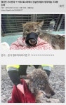 몇년전 기사인데 ㅋㅋ에스토니아에서 건설인부들이 댕댕이를 구조했는데 - 악플달면 쩌리쩌려버려 - ＊여성시대＊ 차분한 20대들의 알흠다운... 
