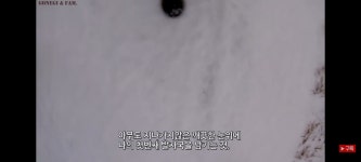 2년만에 눈 ☃️이 내린 농장 그리고 동물들 (거위, 닭, 오리, 강아지)... 공간 2년만에 눈 ☃️이 내린 농장 그리고 동물들 (거위, 닭, 오리, 강아지)
