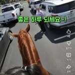 여동생 데리러 말 타고 학교간 오빠 - 악플달면 쩌리쩌려버려 - ＊여성시대＊ 차분한 20대들의 알흠다운 공간 여동생 데리러 말 타고 학교간 오빠