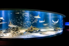 63빌딩 아쿠아리움이 39년만에 문 닫고 생기는 것 - 악플달면 쩌리쩌려버려 - ＊여성시대＊ 차분한 20대들의 알흠다운 공간 63빌딩... 