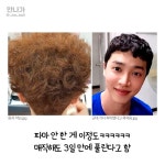악성곱슬로 유명한 연예인 근황.jpg - 악플달면 쩌리쩌려버려 - ＊여성시대＊ 차분한 20대들의 알흠다운 공간 악성곱슬로 유명한 연예인 근황.jpg