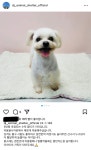 대전시 동물보호센터 다녀왔어 (완전 추천) - 악플달면 쩌리쩌려버려 - ＊여성시대＊ 차분한 20대들의 알흠다운 공간 대전시 동물보호센터... 