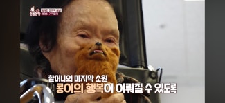 [동물농장] 87세 할머니가 병원 치료를 거부한 이유 - 악플달면... 20대들의 알흠다운 공간 [동물농장] 87세 할머니가 병원 치료를 거부한 이유