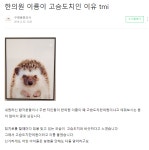 한국에서 제일 귀여운 한의원 - 악플달면 쩌리쩌려버려 - ＊여성시대＊ 차분한 20대들의 알흠다운 공간 한국에서 제일 귀여운 한의원