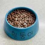 흰둥이랑 밥 먹는데 잠시 화장실 간다더니 두 시간동안 안... 알흠다운 공간 흰둥이랑 밥 먹는데 잠시 화장실 간다더니 두 시간동안 안 오시네요ㅠㅠ