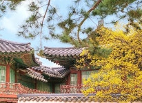 이번주내로 창덕궁에 가야하는 이유 - 악플달면 쩌리쩌려버려 - ＊여성시대＊ 차분한 20대들의 알흠다운 공간 이번주내로 창덕궁에 가야하는 이유