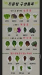 생각보다 다양한 쌈채소의 세계 - 악플달면 쩌리쩌려버려 - ＊여성시대＊ 차분한 20대들의 알흠다운 공간 생각보다 다양한 쌈채소의 세계