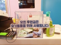중랑구 유기견 애견카페 다시사랑받개 - 콧멍에트💛잇게짤털 - ＊여성시대＊ 차분한 20대들의 알흠다운 공간 댕댕이들 입양 관심있다면? 중랑구... 